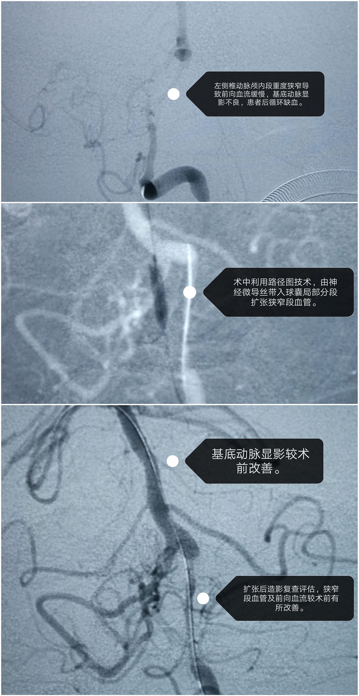 图片2.1.jpg