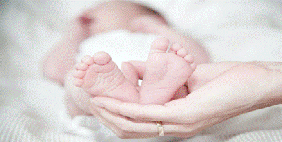 image004.gif
