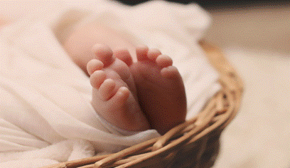 image006.gif