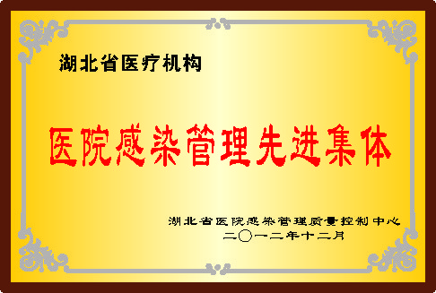 湖北省医院感染管理先进集体2012