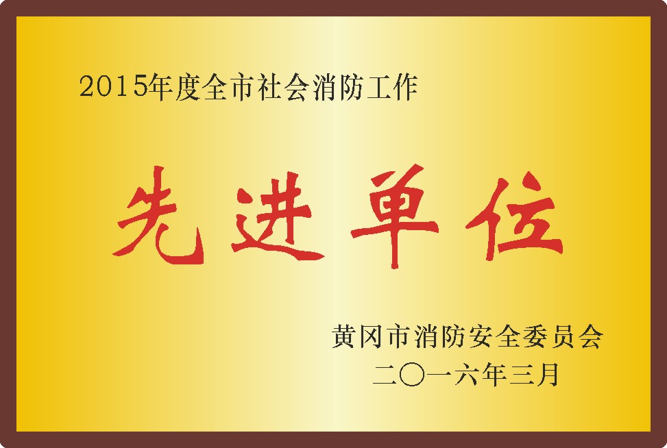 社会消防先进单位2015