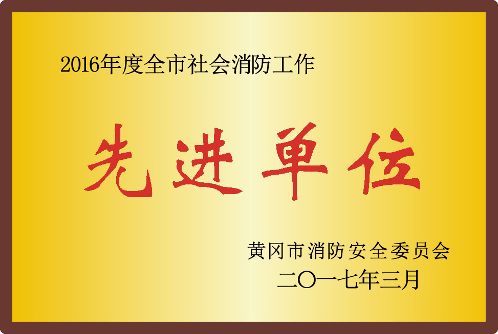 社会消防先进单位2016