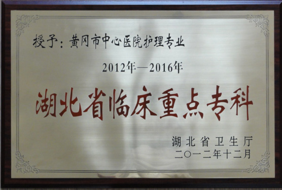 省重点专科（护理）